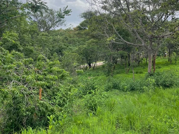 Land