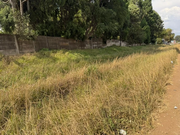 Stands & Residential Land